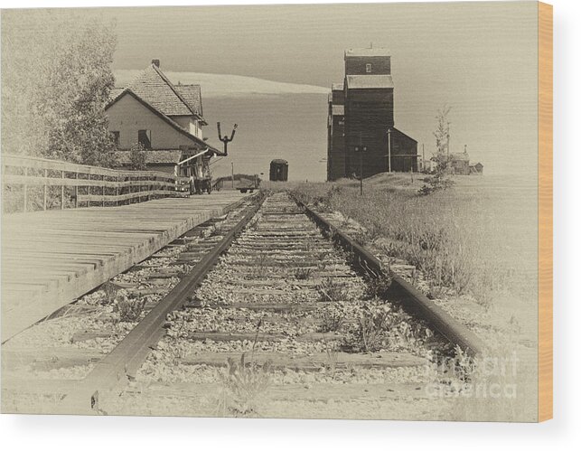 Train Wood Print featuring the photograph End of the track by Inge Riis McDonald