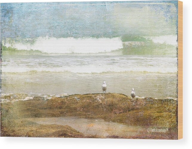 Beach Wood Print featuring the photograph Endless Summer by Chris Armytage