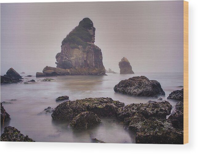 Pacific Ocean Wood Print featuring the photograph Enduring by Adam Mateo Fierro