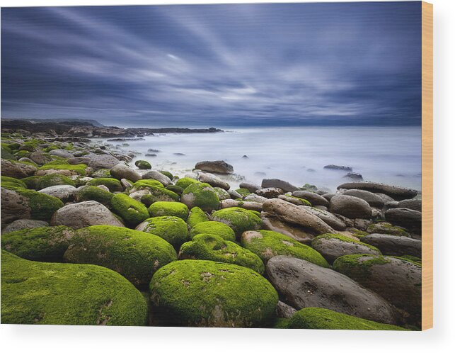 Waterscape Wood Print featuring the photograph Ephemeral motion by Jorge Maia