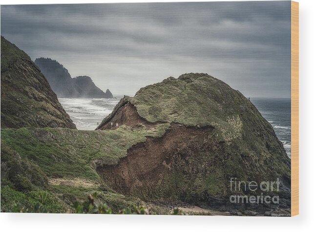Al Andersen Wood Print featuring the photograph Eroded Hill On Oregon Coast 2 by Al Andersen