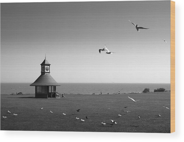 Gull Image Print Wood Print featuring the photograph Esplended Gulls by David Davies
