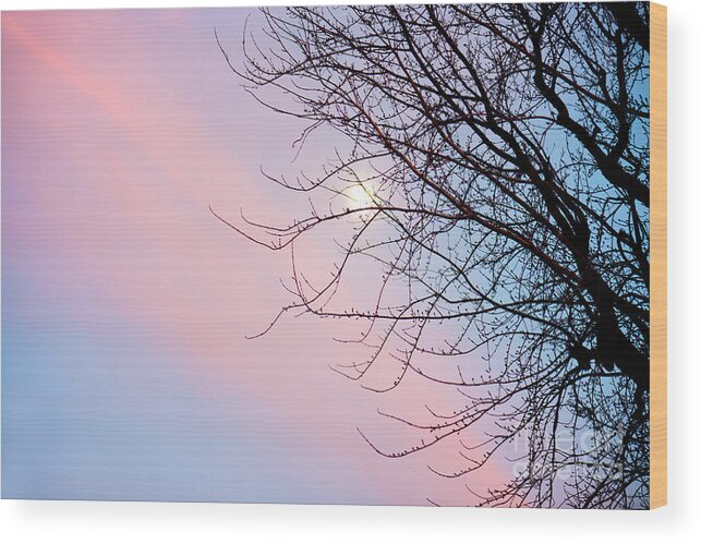 Sunset Wood Print featuring the photograph Evening Glow by Betty LaRue