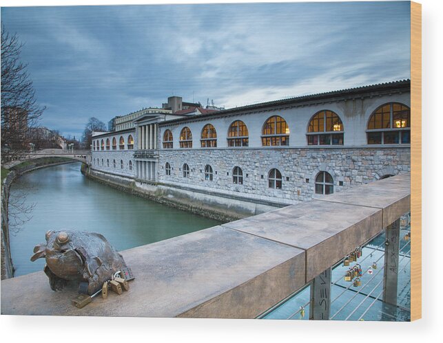 Ljubljanica Wood Print featuring the photograph Evening in Ljubljana by Ian Middleton