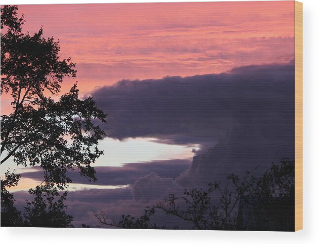 Sunset Wood Print featuring the photograph Evening's Colours by Patricia Hiltz