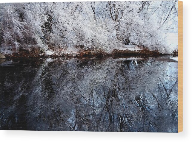 Outdoors Wood Print featuring the photograph Extreme Reflections by Steven Milner