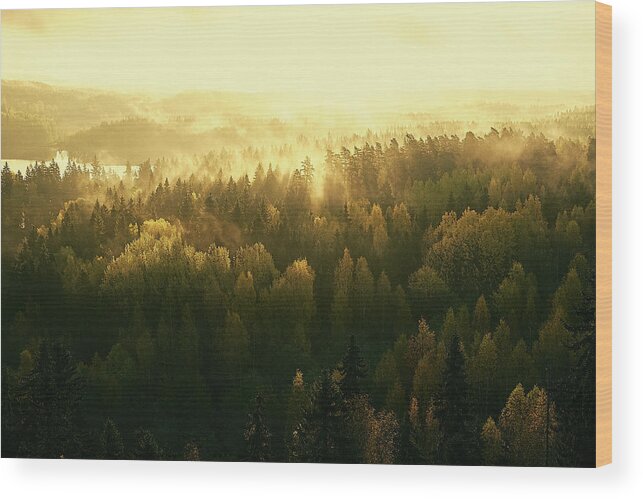 Finland Wood Print featuring the photograph Fading Mist by Jere Ketola