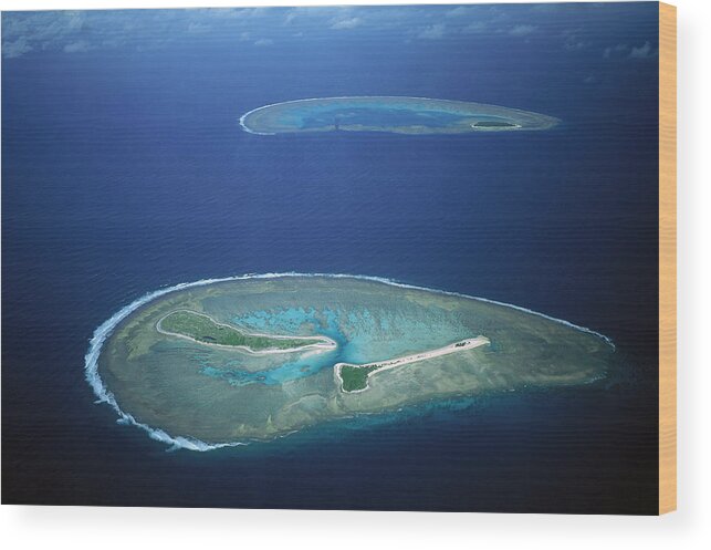 00250621 Wood Print featuring the photograph Fairfax Reef And Lady Musgrave Island by D Parer and E Parer Cook