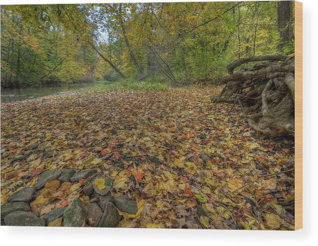 Fall Wood Print featuring the photograph Fall at Beaver Creek by David Dufresne