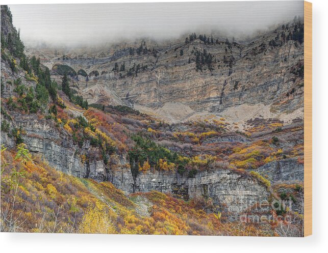 Mount Timpanogos Wood Print featuring the photograph Fall at Mt. Timpanogos - Utah by Gary Whitton