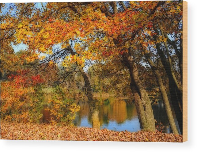 Fall Wood Print featuring the photograph Fall at the Pond 2 by Lynn Bauer