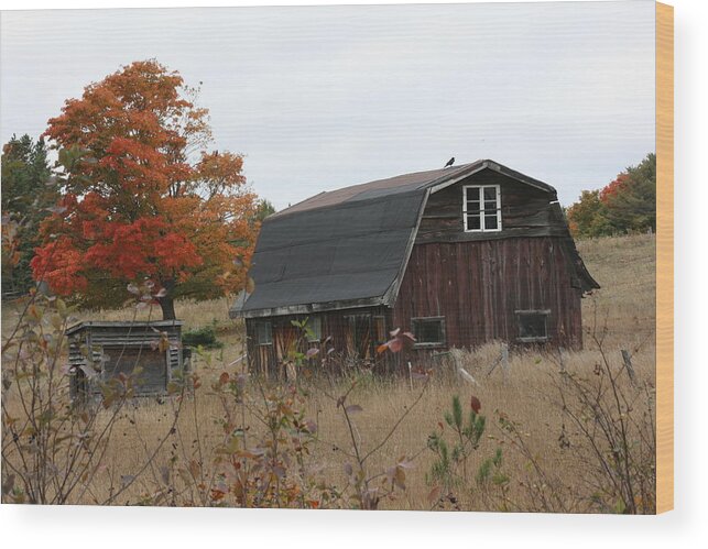 Old Barn Wood Print featuring the photograph Fall Barn by Paula Brown