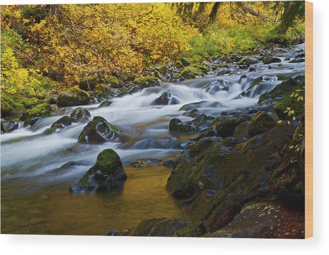 Solduc Waterfall In Autumn Wood Print featuring the photograph Fall color in Sol Duc River by Hisao Mogi