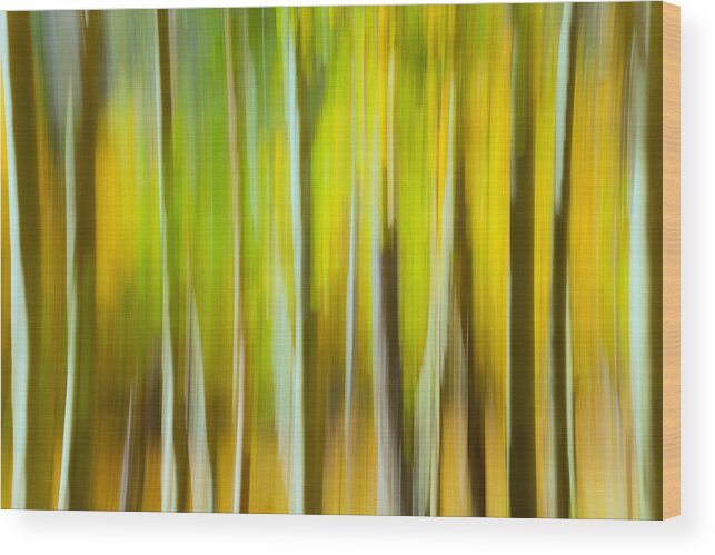 Fall Wood Print featuring the photograph Fall Colors Abstract by Jonathan Nguyen