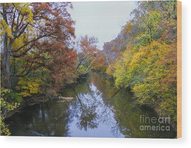 Chattooga River Wood Print featuring the photograph Fall colors along the Chattooga River by Barbara Bowen