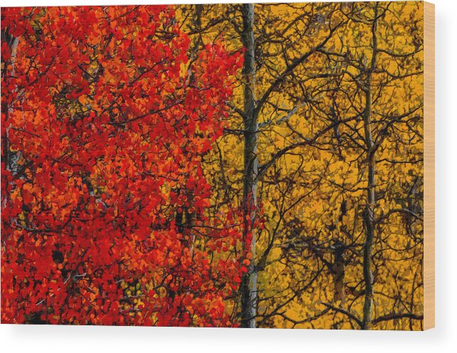 Autumn Wood Print featuring the digital art Fall Colors DP by Ernest Echols