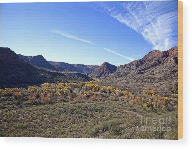 Verde River Wood Print featuring the photograph Fall Colors in the Verde Canyon along the Verde River in Arizona by Ron Chilston