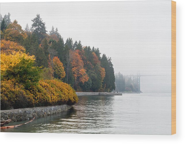 Acer Macrophyllum Wood Print featuring the photograph Fall Fog at Stanley Park by Michael Russell