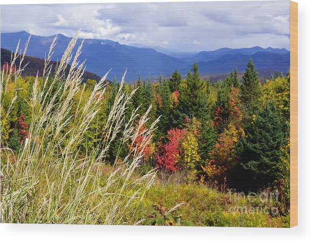 Newhampshire Wood Print featuring the photograph Fall Foliage 2 by Kerri Mortenson