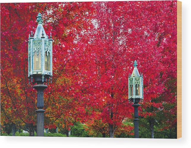 Gothic Style Wood Print featuring the photograph Fall Foliage With Lamps by Bauhaus1000