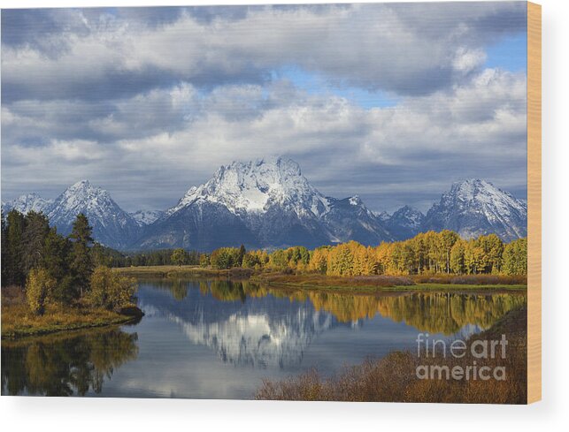 Oxbow Bend Wood Print featuring the photograph Fall Glory at the Oxbow by Deby Dixon