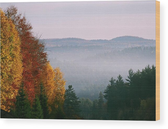 Fall Wood Print featuring the photograph Fall Morning by David Porteus
