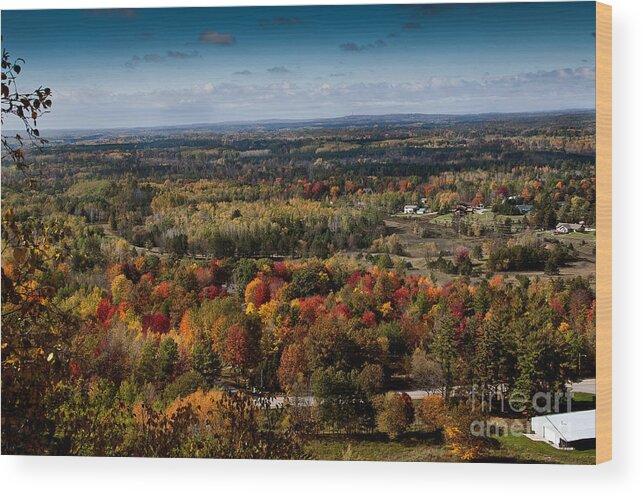 Fall Colors Wood Print featuring the photograph Fall Mountain by Gwen Gibson