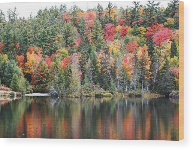 Fall Wood Print featuring the photograph Fall Reflection by Paula Brown