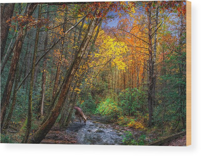 Solitude Wood Print featuring the photograph Fall Solitude by Mary Almond