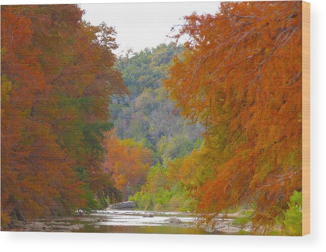 Texas Hill Country Wood Print featuring the photograph Fall Spectacular by David Norman