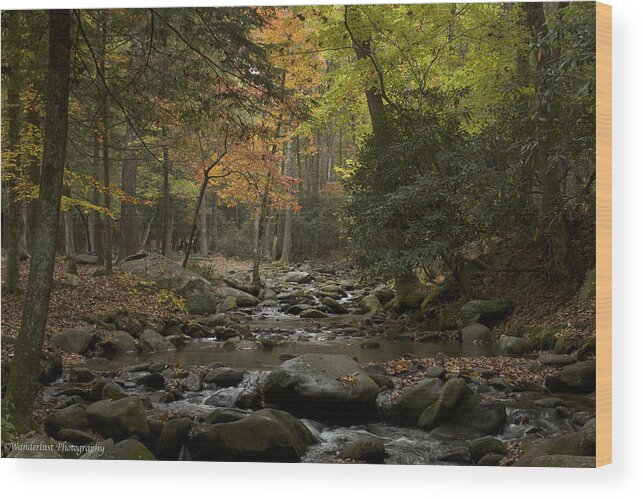 Gsmnp.great Smokey Mountain National Park.fall Wood Print featuring the photograph Fall Stream Cades Cove GSMNP by Paul Herrmann