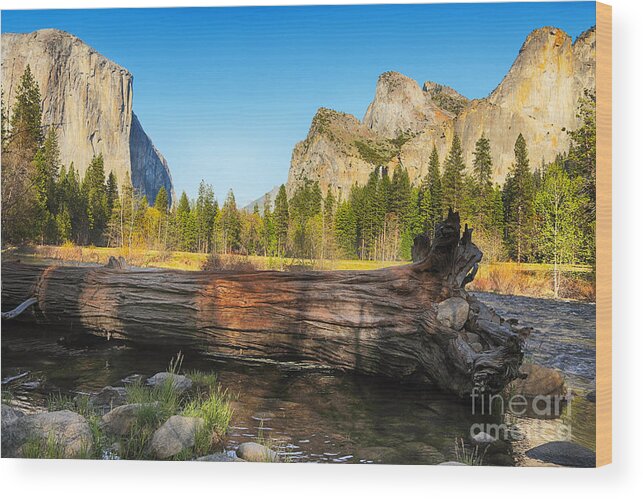 Yosemite Wood Print featuring the photograph Fallen tree in Yosemite by Jane Rix