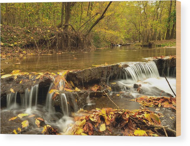 Stream Wood Print featuring the photograph Falling Stream by Gregory Ballos