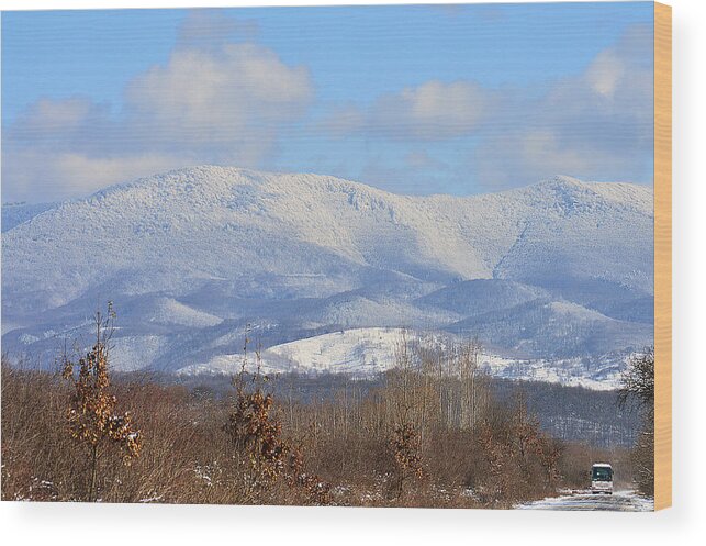 Alps Wood Print featuring the photograph Fanciful Winter scene by Felicia Tica