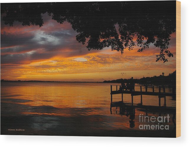 Sunset Wood Print featuring the photograph Farewell Sunset by Tannis Baldwin