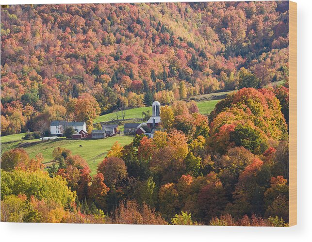 New England Fall Foliage Wood Print featuring the photograph Farm with a foliage view by Jeff Folger