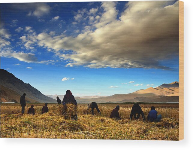 India Wood Print featuring the photograph Farming on the mountains by Naveen Krishnan