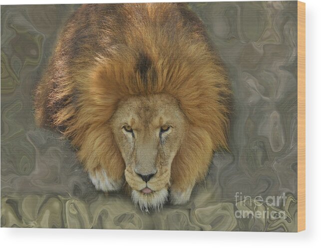 Jungle Wood Print featuring the photograph Faux Lion by Josephine Cohn