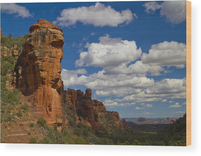 Fay Canyon Wood Print featuring the photograph Fay Canyon 0045 by Tom Kelly