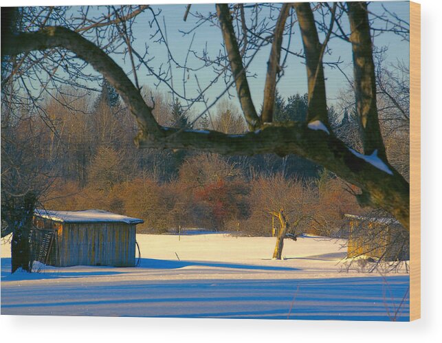 Winter Wood Print featuring the photograph February Morn by Gerald Salamone