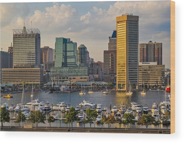 Baltimore Inner Harbor Wood Print featuring the photograph Federal Hill View To The Baltimore Skyline by Susan Candelario
