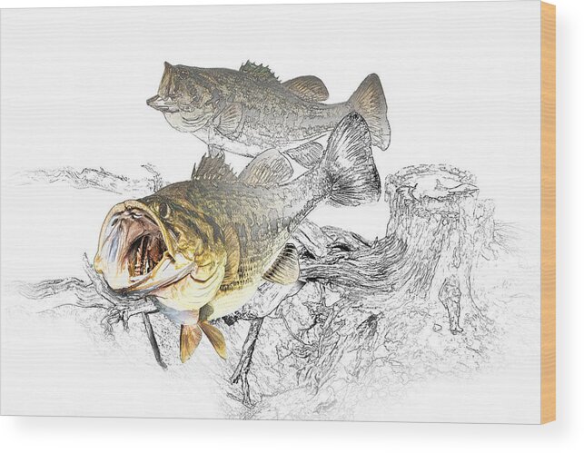 Fish Wood Print featuring the photograph Feeding Largemouth Black Bass by Randall Nyhof