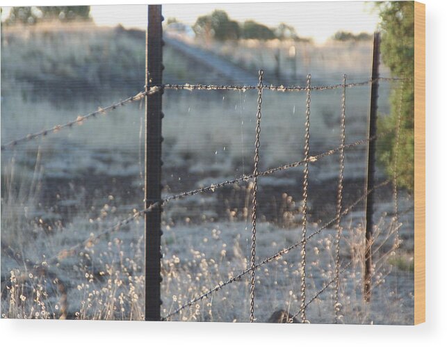 Country Wood Print featuring the photograph Fence by David S Reynolds