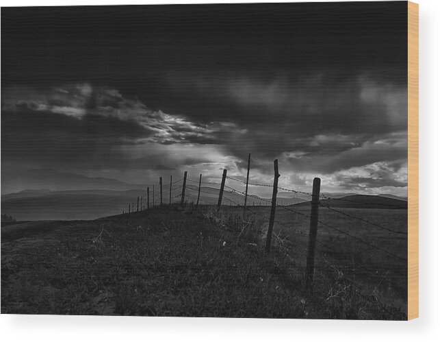 Black And White Wood Print featuring the photograph Fence Line by Theresa Tahara