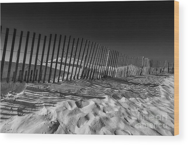 Beach Wood Print featuring the photograph Fence on Beach by Danny Hooks