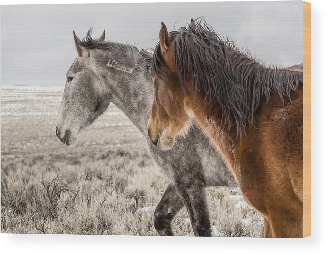 Mustangs Wood Print featuring the photograph Finally Free by Yeates Photography
