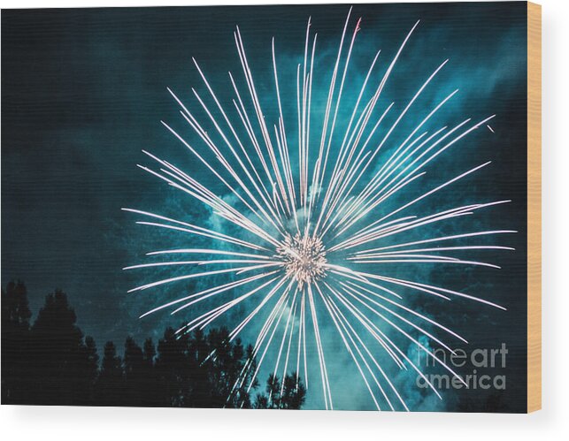 Firework Wood Print featuring the photograph Fire Flower by Suzanne Luft
