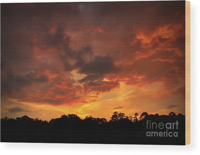Sunset Print Wood Print featuring the photograph Fire In The Sky by Phil Mancuso
