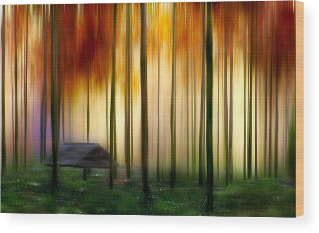 Fire Wood Print featuring the photograph Fire by Russell Brown