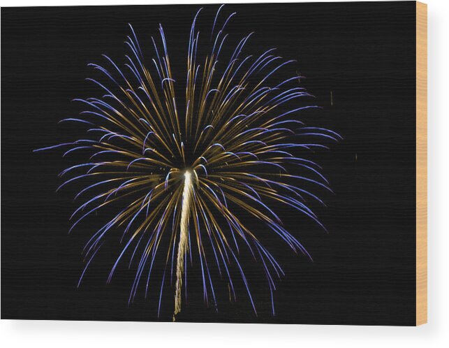 Colors Wood Print featuring the photograph Fireworks bursts colors and shapes 3 by SC Heffner